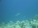 DSC00799.JPG