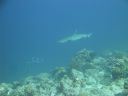 DSC00801.JPG