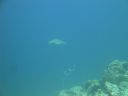 DSC00804.JPG