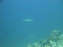 DSC00805.JPG