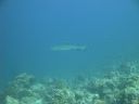 DSC00806.JPG
