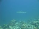 DSC00807.JPG