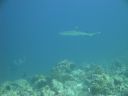 DSC00808.JPG