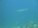 DSC00809.JPG