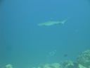 DSC00810.JPG
