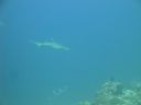 DSC00814.JPG