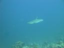 DSC00815.JPG