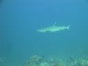 DSC00816.JPG
