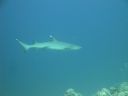 DSC00819.JPG