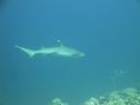 DSC00820.JPG