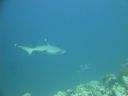 DSC00821.JPG