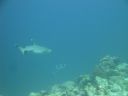 DSC00822.JPG