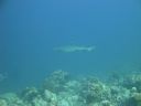 DSC00826.JPG