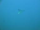 DSC00829.JPG