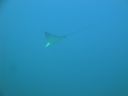 DSC00830.JPG