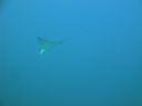 DSC00831.JPG
