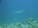 DSC00833.JPG