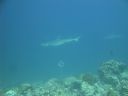 DSC00834.JPG