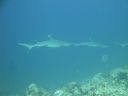 DSC00841.JPG