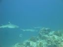 DSC00843.JPG