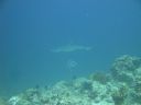 DSC00844.JPG