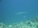 DSC00845.JPG