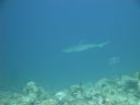 DSC00846.JPG