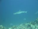 DSC00847.JPG
