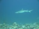 DSC00849.JPG