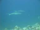 DSC00851.JPG