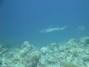 DSC00855.JPG
