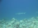 DSC00856.JPG