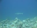 DSC00857.JPG