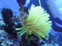 DSC00866.JPG