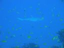 DSC00868.JPG