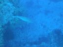 DSC00869.JPG