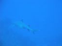 DSC00870.JPG