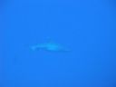 DSC00871.JPG