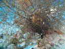 DSC00905.JPG