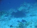 DSC00911.JPG
