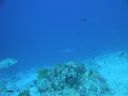 DSC00914.JPG