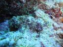 DSC00915.JPG