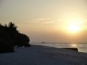 DSC00919.JPG