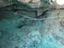 DSC00933.JPG