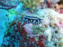 DSC00940.JPG