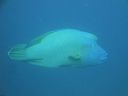 DSC00946.JPG