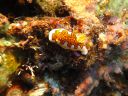 DSC00947.JPG