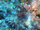 DSC00950.JPG