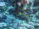 DSC00951.JPG