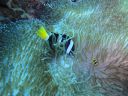 DSC00952.JPG